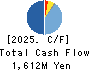 NANSIN CO.,LTD. Cash Flow Statement 2025年Mar期 NANSIN CO.,LTD. Cash Flow Statement 2025年3月期