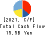 NISSAN TOKYO SALES HOLDINGS CO., LTD. Cash Flow Statement 2021年3月期