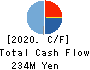 Frontier Inc. Cash Flow Statement 2020年11月期
