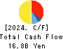 TRE HOLDINGS CORPORATION Cash Flow Statement 2024年Mar期 TRE HOLDINGS CORPORATION Cash Flow Statement 2024年3月期