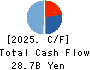 DAI-DAN CO.,LTD. Cash Flow Statement 2025年Mar期 DAI-DAN CO.,LTD. Cash Flow Statement 2025年3月期