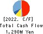ESTIC CORPORATION Cash Flow Statement 2022年Mar期 ESTIC CORPORATION Cash Flow Statement 2022年3月期