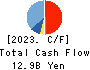Shin Nippon Air Technologies Co.,Ltd. Cash Flow Statement 2023年3月期