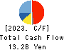 SHIKOKU KASEI HOLDINGS CORPORATION Cash Flow Statement 2023年12月期