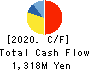 HYOJITO Co., Ltd. Cash Flow Statement 2020年Mar期 HYOJITO Co., Ltd. Cash Flow Statement 2020年3月期