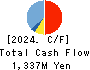 AZOOM CO.,LTD Cash Flow Statement 2024年9月期