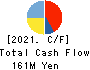 True Data Inc. Cash Flow Statement 2021年3月期