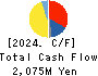 KODAMA CHEMICAL INDUSTRY CO.,LTD. Cash Flow Statement 2024年Mar期 KODAMA CHEMICAL INDUSTRY CO.,LTD. Cash Flow Statement 2024年3月期