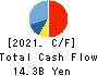 SHIBUYA CORPORATION Cash Flow Statement 2021年6月期