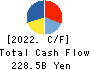Oji Holdings Corporation Cash Flow Statement 2022年3月期