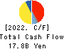 TOEI ANIMATION CO.,LTD. Cash Flow Statement 2022年3月期