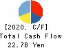 TRUSCO NAKAYAMA CORPORATION Cash Flow Statement 2020年12月期