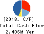 Direct Marketing MiX Inc. Cash Flow Statement 2018年Dec期 Direct Marketing MiX Inc. Cash Flow Statement 2018年12月期