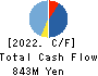 FLECT Co.,Ltd. Cash Flow Statement 2022年Mar期 FLECT Co.,Ltd. Cash Flow Statement 2022年3月期