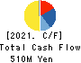 Datasection Inc. Cash Flow Statement 2021年Mar期 Datasection Inc. Cash Flow Statement 2021年3月期