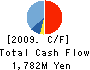 VeriSign Japan K.K. Cash Flow Statement 2009年12月期