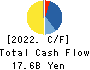 Renewable Japan Co.,Ltd. Cash Flow Statement 2022年12月期