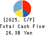 TAKASAGO INTERNATIONAL CORPORATION Cash Flow Statement 2025年Mar期 TAKASAGO INTERNATIONAL CORPORATION Cash Flow Statement 2025年3月期