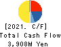 KOEI CHEMICAL COMPANY,LIMITED Cash Flow Statement 2021年3月期