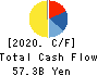 Japan Airport Terminal Co.,Ltd. Cash Flow Statement 2020年3月期