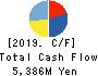 Toyo Gosei Co.,Ltd. Cash Flow Statement 2019年3月期