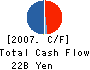 Shinki Co.,Ltd. Cash Flow Statement 2007年3月期
