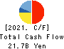FUKUDA DENSHI CO.,LTD. Cash Flow Statement 2021年3月期