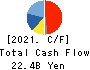 TOKYO SEIMITSU CO.,LTD. Cash Flow Statement 2021年3月期