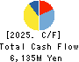 RKB MAINICHI HOLDINGS CORPORATION Cash Flow Statement 2025年Mar期 RKB MAINICHI HOLDINGS CORPORATION Cash Flow Statement 2025年3月期
