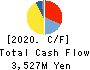 KANEFUSA CORPORATION Cash Flow Statement 2020年3月期