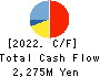 DAI-ICHI CUTTER KOGYO K.K. Cash Flow Statement 2022年6月期