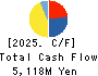 HIGASHI HOLDINGS CO.,LTD. Cash Flow Statement 2025年Mar期 HIGASHI HOLDINGS CO.,LTD. Cash Flow Statement 2025年3月期