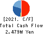 HOSHIIRYO-SANKI CO.,LTD. Cash Flow Statement 2021年3月期