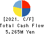 KAWASAKI KINKAI KISEN KAISHA,LTD. Cash Flow Statement 2021年3月期