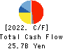 KOEI TECMO HOLDINGS CO., LTD. Cash Flow Statement 2022年3月期