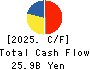 TOKAI Holdings Corporation Cash Flow Statement 2025年3月期