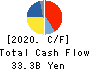 NIPPON KAYAKU CO.,LTD. Cash Flow Statement 2020年3月期