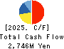 Daito Chemix Corporation Cash Flow Statement 2025年3月期