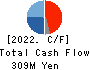 Global Information,Inc. Cash Flow Statement 2022年12月期