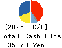 NOF CORPORATION Cash Flow Statement 2025年Mar期 NOF CORPORATION Cash Flow Statement 2025年3月期