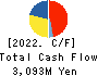 NIPPON KODOSHI CORPORATION Cash Flow Statement 2022年3月期