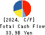 COLOWIDE CO.,LTD. Cash Flow Statement 2024年Mar期 COLOWIDE CO.,LTD. Cash Flow Statement 2024年3月期