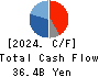 CASIO COMPUTER CO.,LTD. Cash Flow Statement 2024年3月期