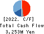 Sasakura Engineering Co.,Ltd. Cash Flow Statement 2022年3月期