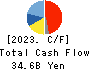 TORIDOLL Holdings Corporation Cash Flow Statement 2023年3月期