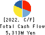 Software Service,Inc. Cash Flow Statement 2022年10月期