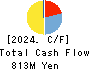 StemCell Institute Inc. Cash Flow Statement 2024年Mar期 StemCell Institute Inc. Cash Flow Statement 2024年3月期