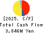 TOREX SEMICONDUCTOR LTD. Cash Flow Statement 2025年Mar期 TOREX SEMICONDUCTOR LTD. Cash Flow Statement 2025年3月期