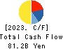 Nojima Corporation Cash Flow Statement 2023年3月期