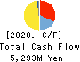 Toyo Gosei Co.,Ltd. Cash Flow Statement 2020年3月期